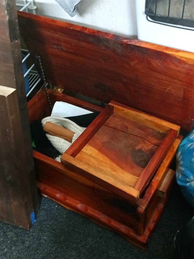 Vintage 1930s ROOS "Duo-Service" Cedar Chest with Separate Interior Compartments