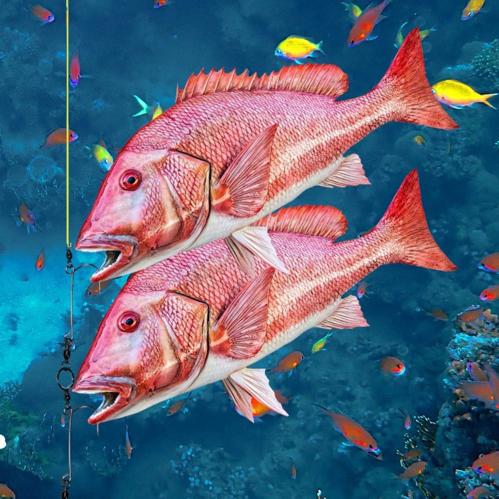 Fish descending release device compact NOAA compliant for deep drops