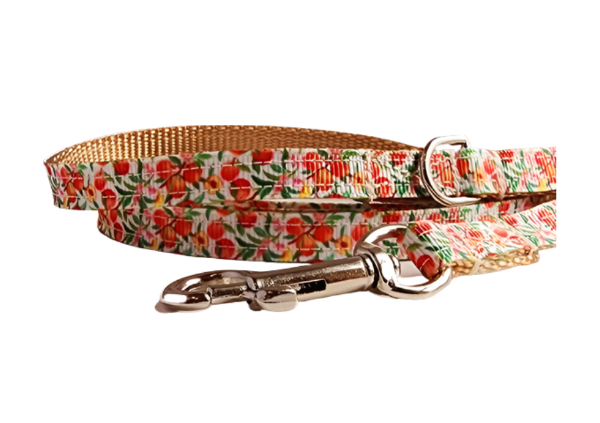 3/8" Peach Dog Collar, Leash, or Harness