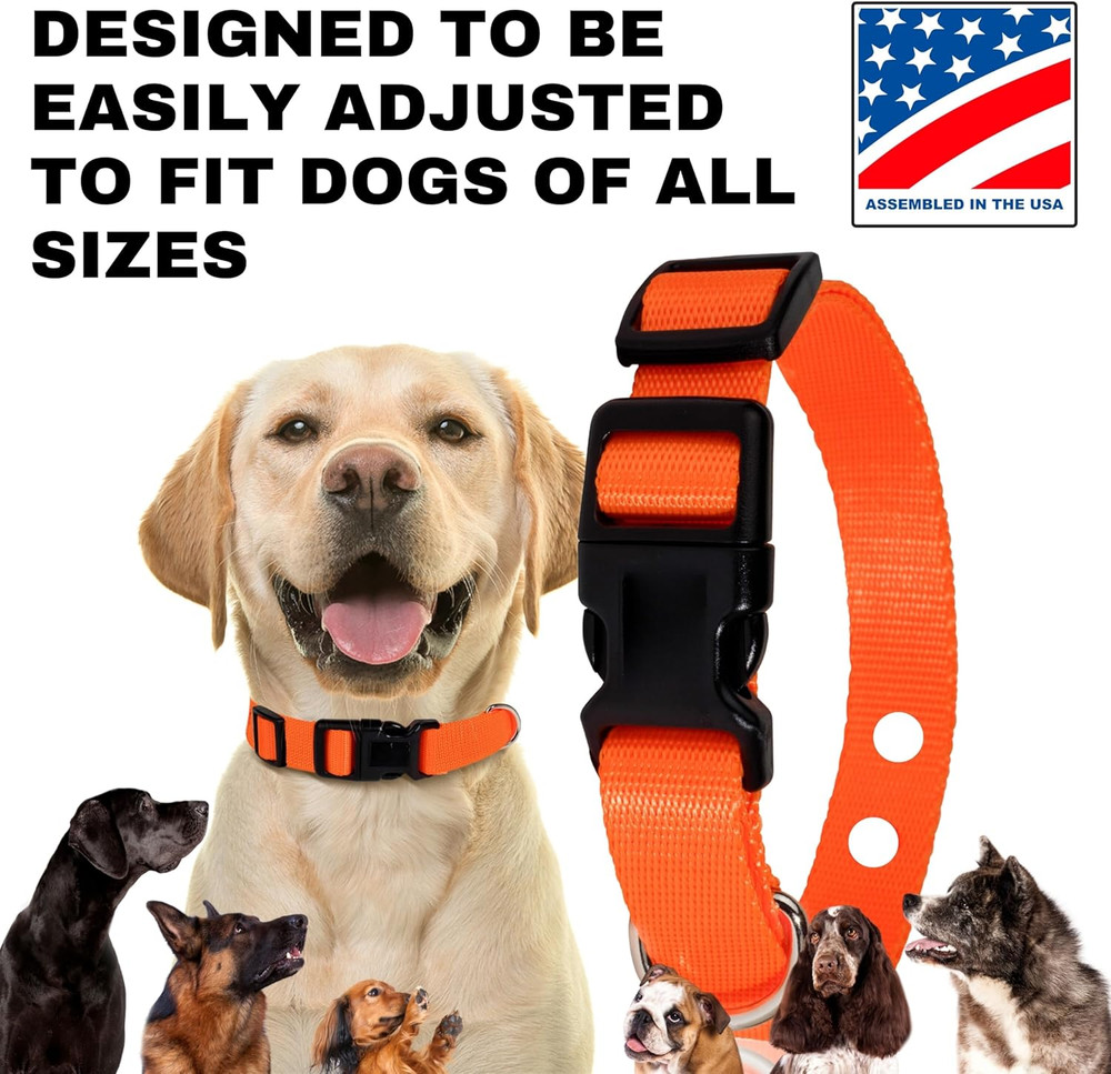 Ecollar Replacement Strap, Pet Safe Collars Replacement, Shock Collar Replaceme