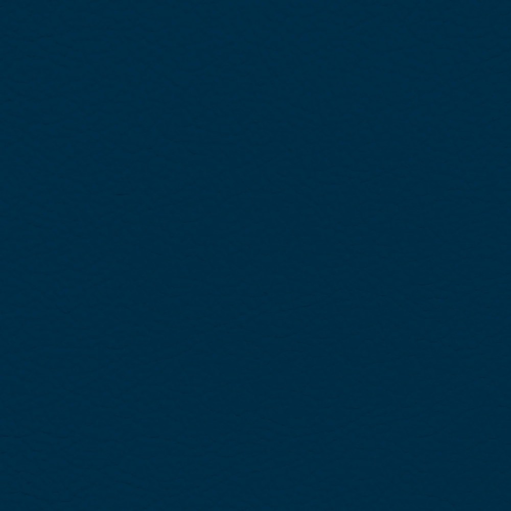 BMW Navy Leather Dye