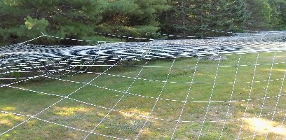 Predator Pee Hawk Stopper