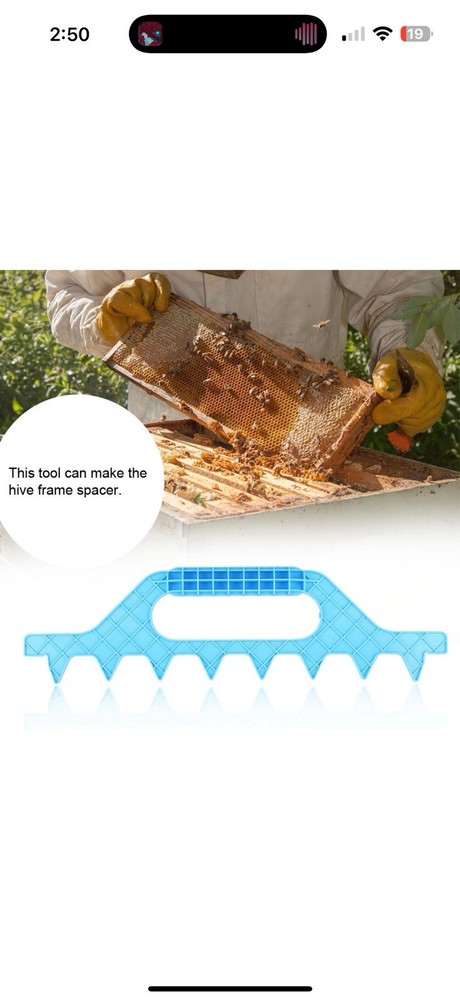 Beekeeping Equipment Plastic 7 Frame Spacer Bee Frame Spacing Tool USA
