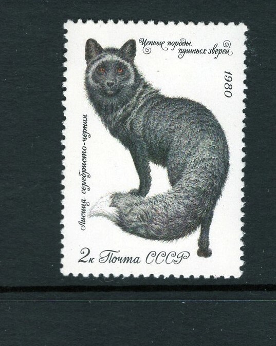 Russia 1980 2K DARK SILVER FOX SC 4838 NH