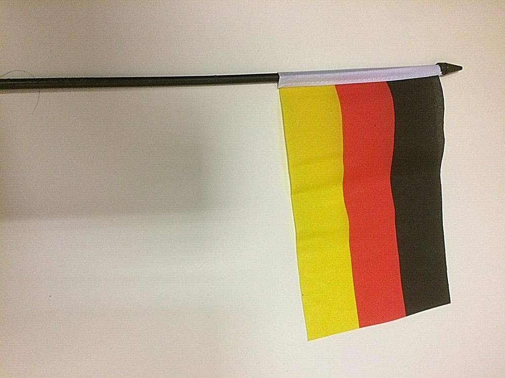 New 4" x 6" and 6" x 9" Hand Held Flags