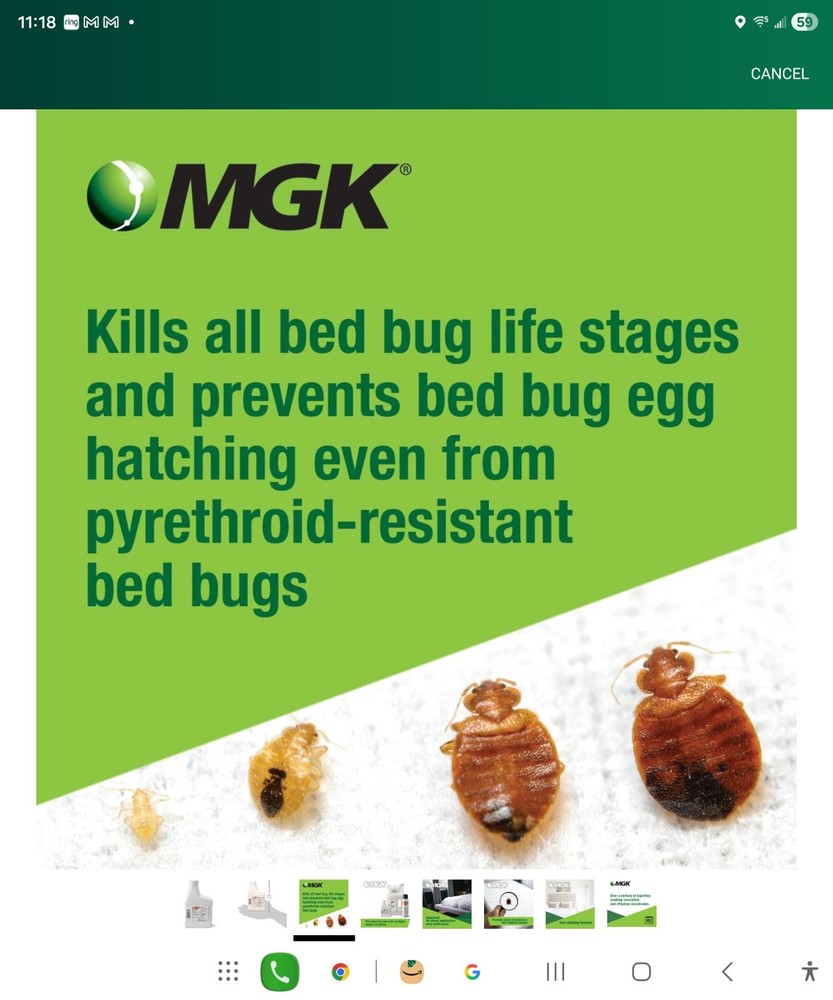 Crossfire Bed Bug Concentrate 13 oz MGK Insecticide Pest Control Bed Bug killer