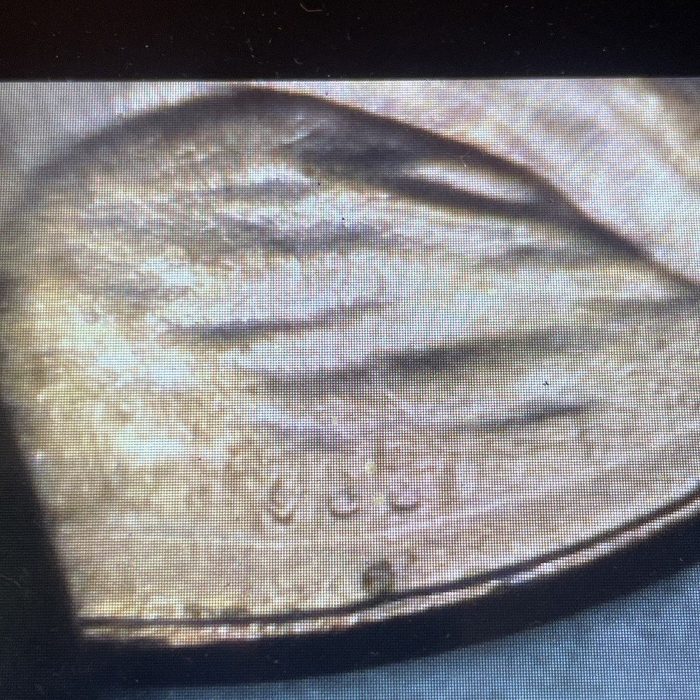2024 Penny Lot, Extra V , From Bu Roll