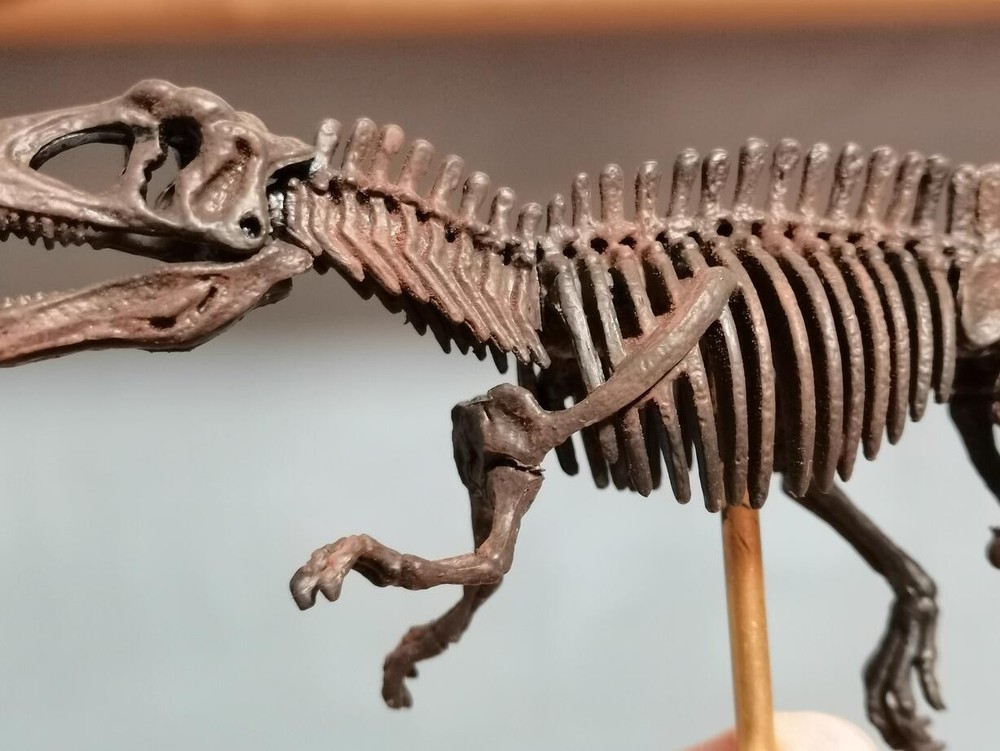 Acrocanthosaurus Skeleton Model Dinosaur Model Statue Display Animal Model
