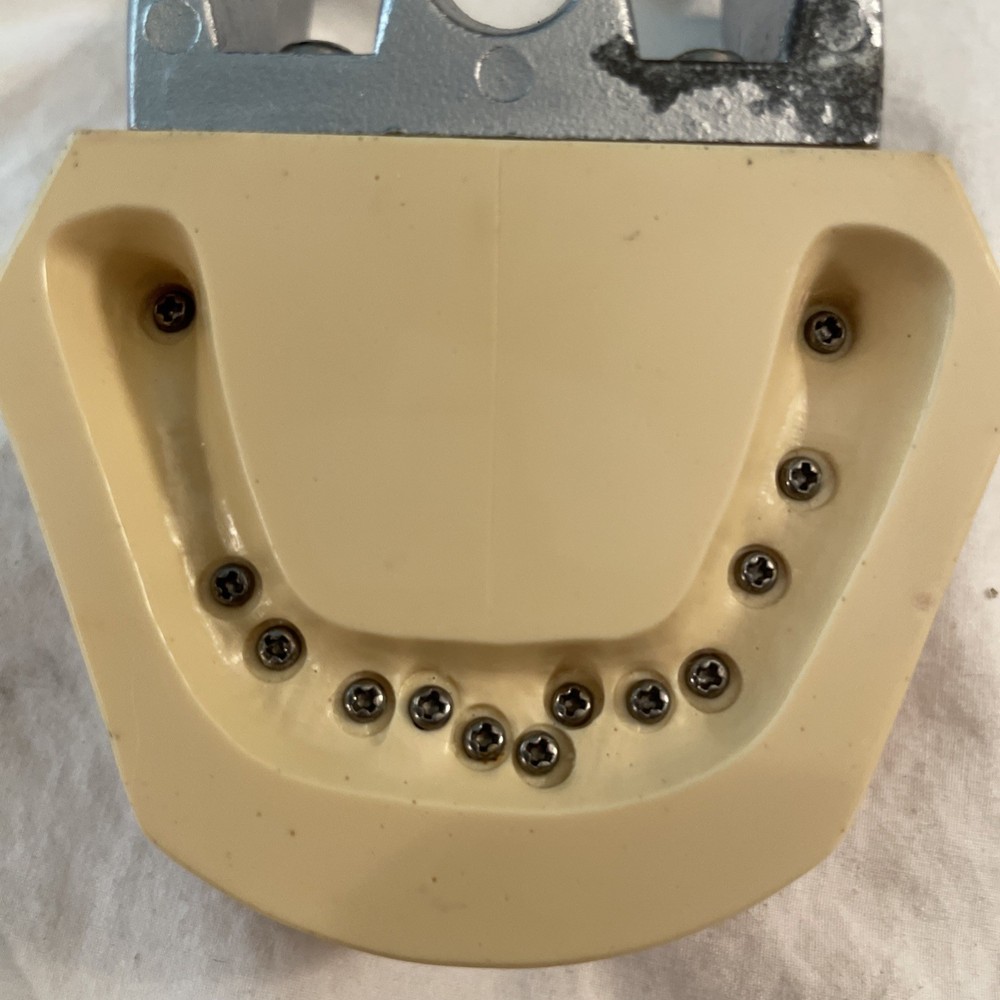 Dental Typodont Model Removable Teeth PARTS ONLY