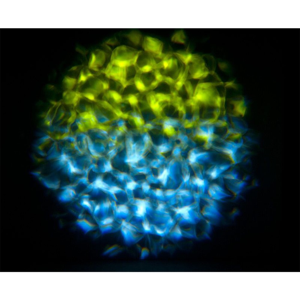 Eliminator ADJ Aqua LED 2.0 50W COB Multi-colored Water Flowing Effect LED Light