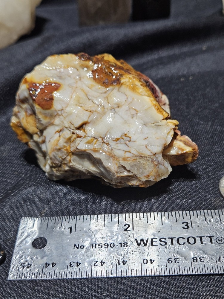 Fully Opalized Petrified Wood Specimen NATURAL FORM (9.9oz)