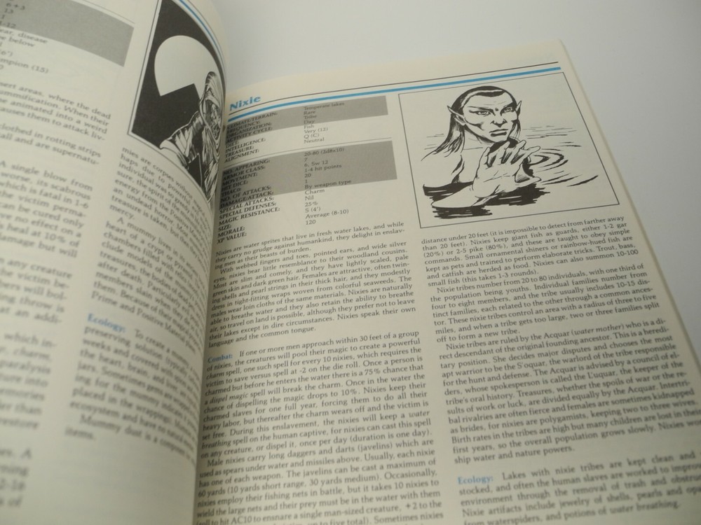 Dungeons & Dragons Dungeon Master Instructions 3 Hole Blank Monster Form Book