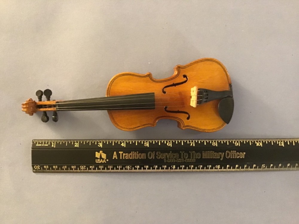 Mini Decorative Violin with case
