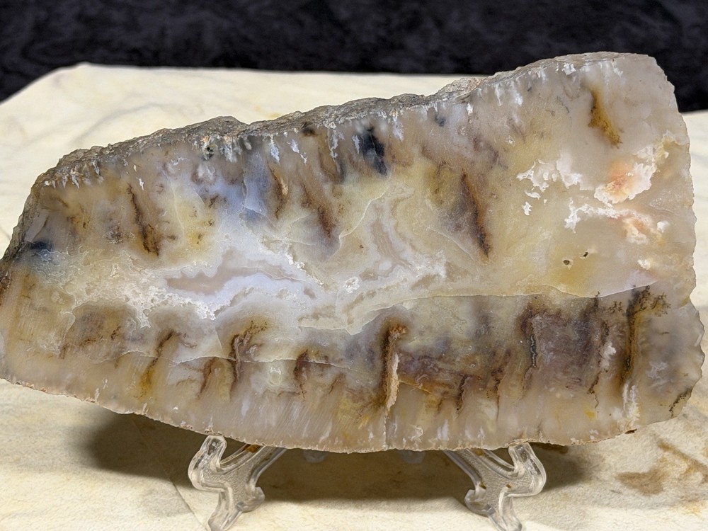 Graveyard Point Plume Agate Slab, Lot #276