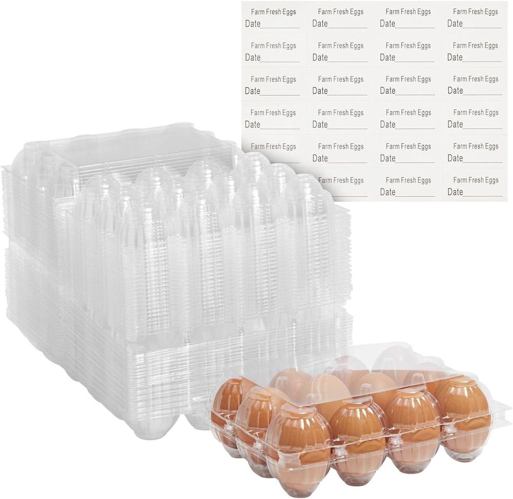 48-Pack Plastic Egg Cartons Holds 1 Dozen with Date Labels