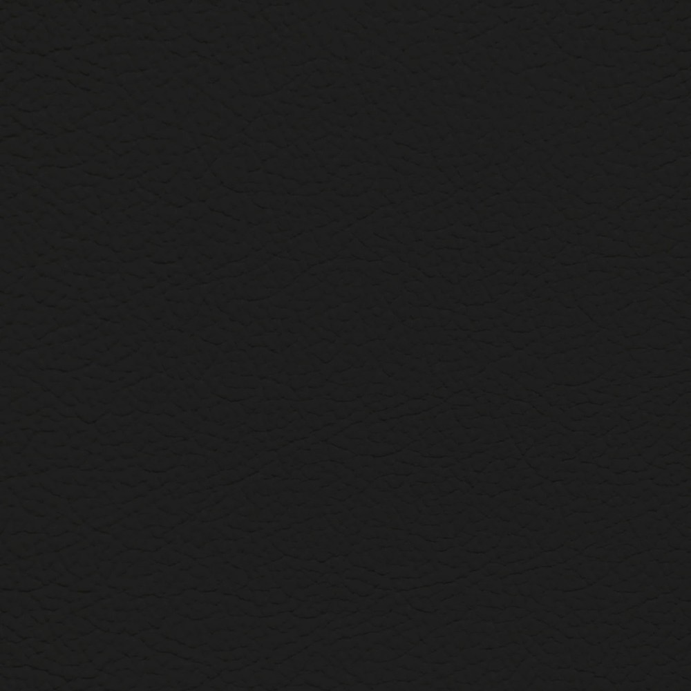 BMW Jet Black Leather Dye