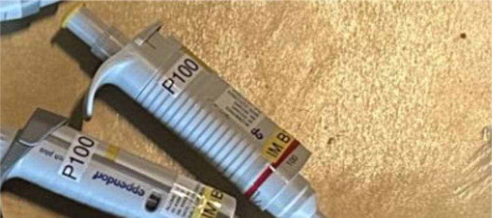 Eppendorf Research Plus Pipettes