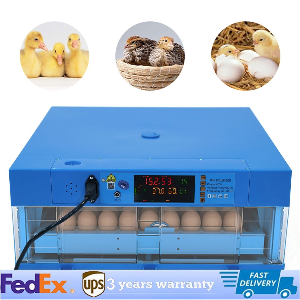 48 Eggs Incubator - Automatic Digital Hatcher with Temperature Control