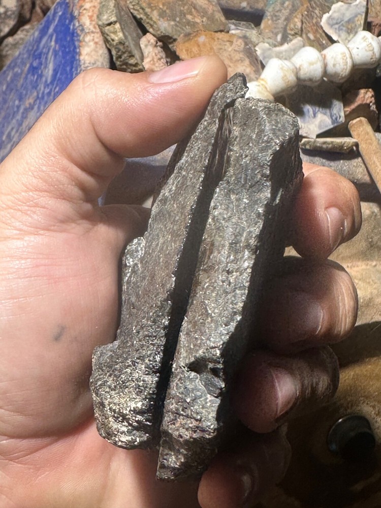 Dinosaur bone rough **hxtled wash split.