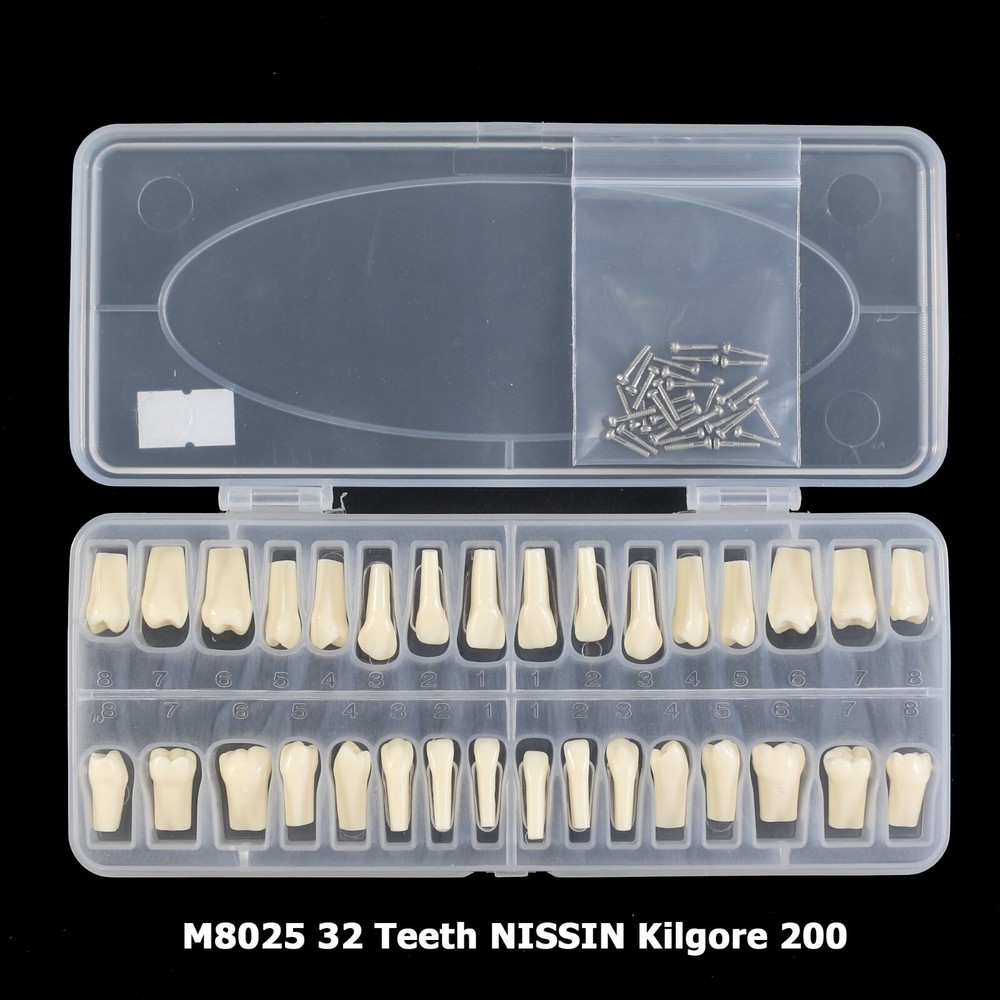 Kilgore Nissin 200 Type Dental Typodont 32PCS Teeth Replacement Training Model