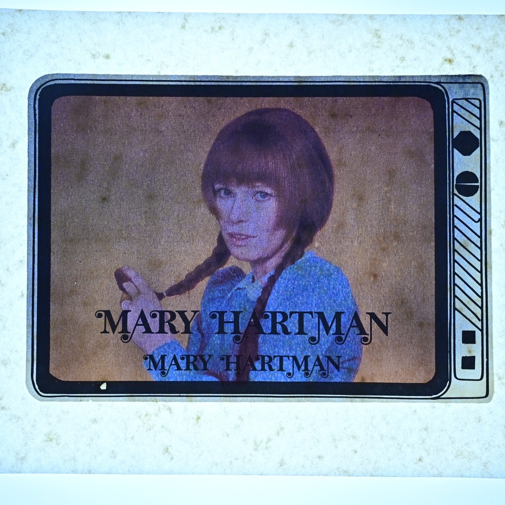 Original VINTAGE 1970s Heat Transfer | Mary Hartman