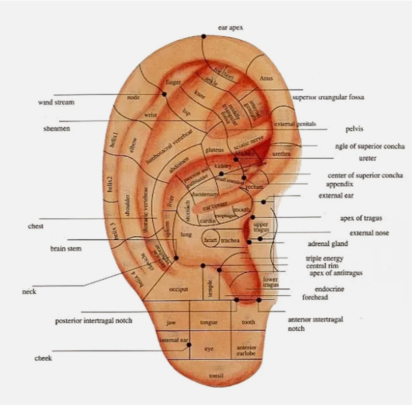 Auricular Points Detector Automatic Ear Detection Pen Warning Sound Acupressure