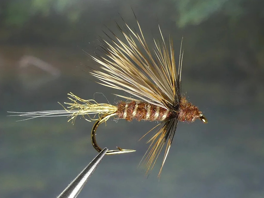 6 Flies - Hendrickson Soft-Hackled Dry Fly