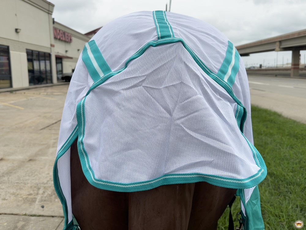 HILASON Horse Fly Sheet - Summer Spring UV Protection Mesh Bug Mosquito