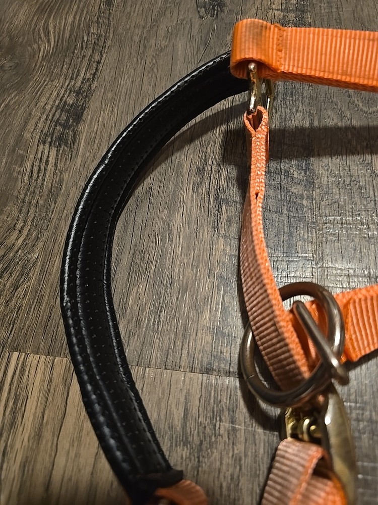 Horse Halter