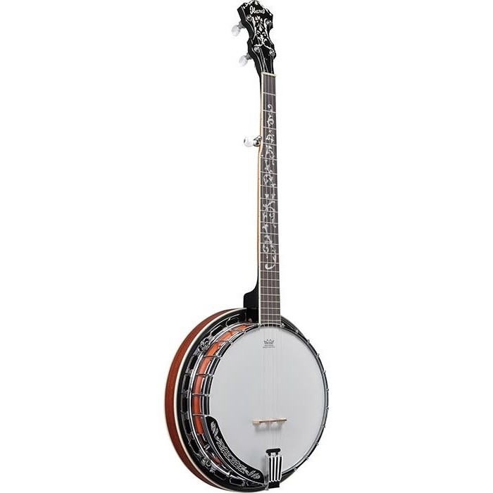 Ibanez B200 5 String Resonator Banjo