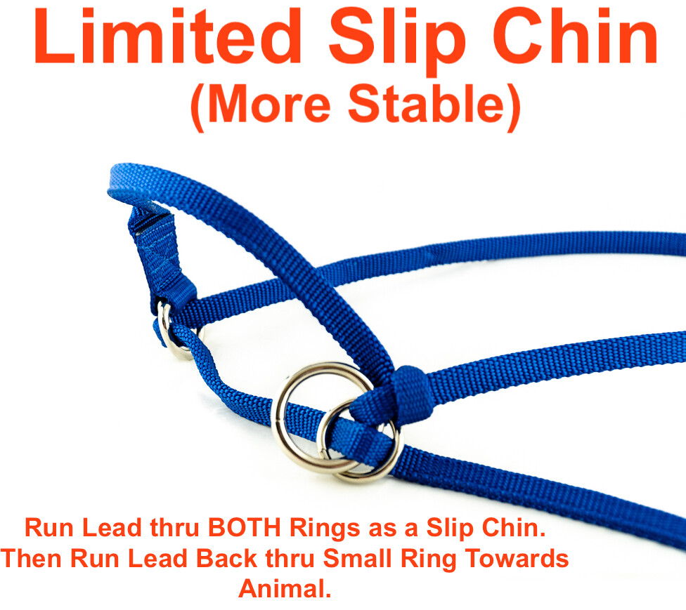 Halter All MEDIUM Dairy Beef Cow, Ave Steer Breaking Show Adjustable PATTERN USA