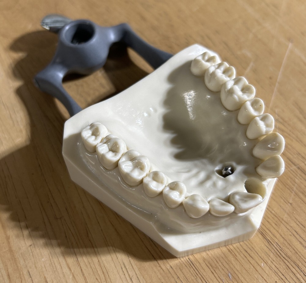 r861 columbia dentoform Root Canal Endo Practice