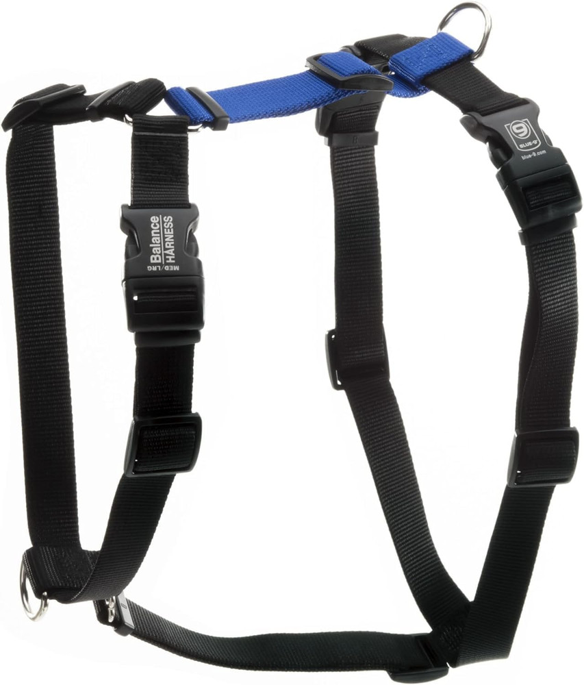 Customizable No-Pull Dog Harness for Training - Blue, Medium, Made in USA