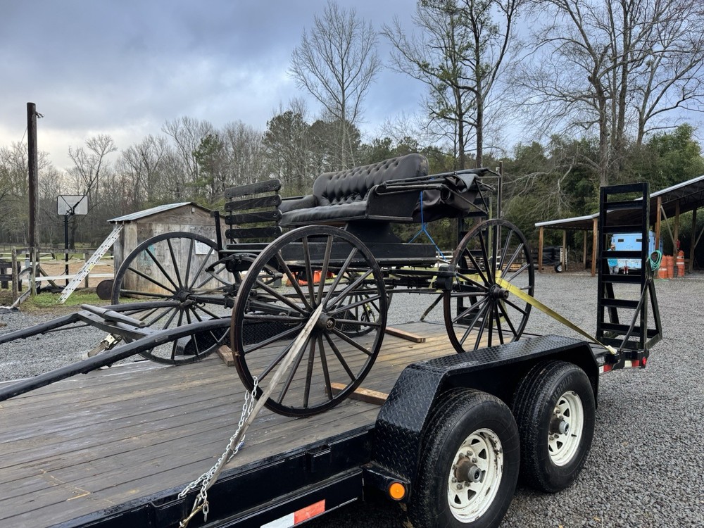 antique horse drawn buggy carriage