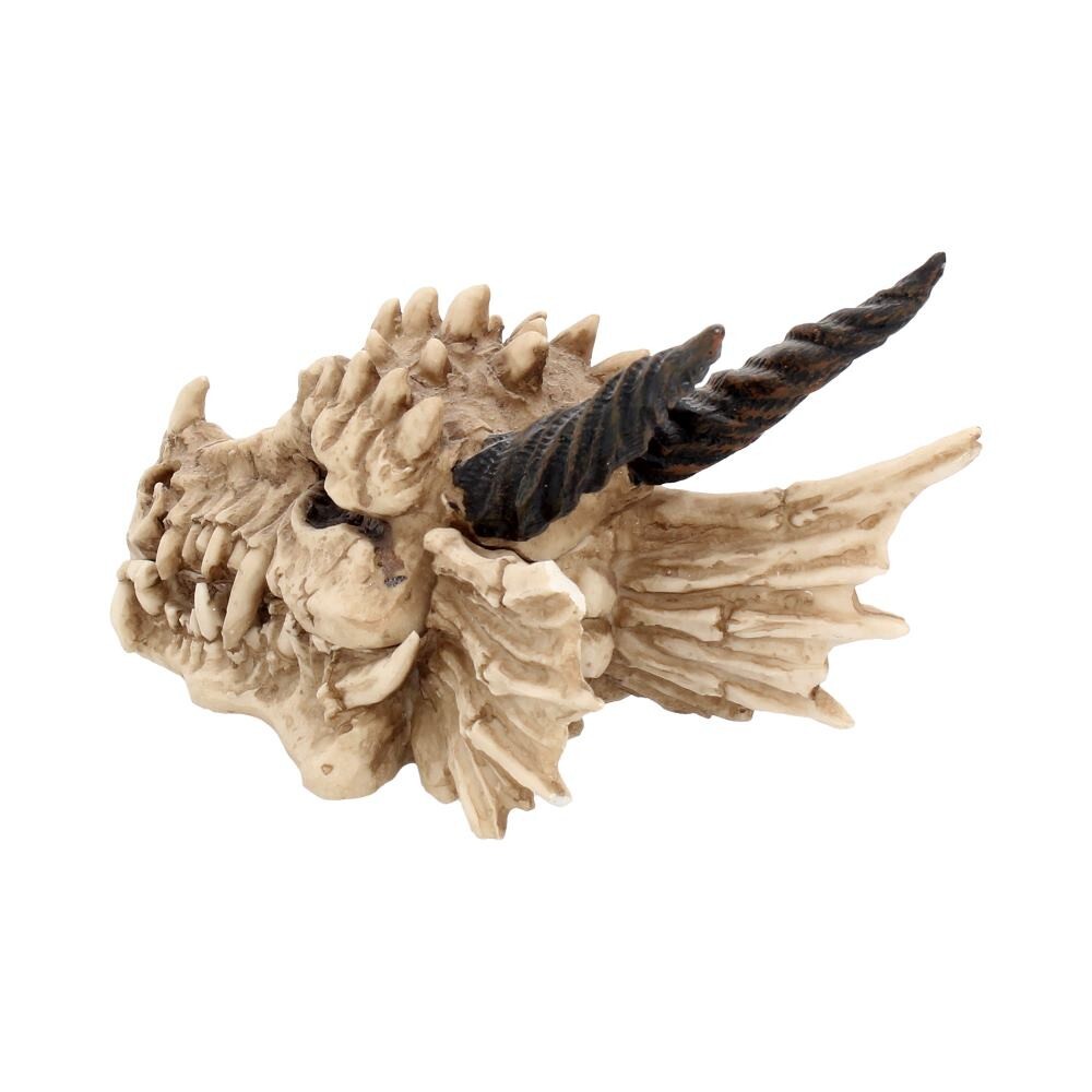Nemesis Now Dragon Skull Box 15cm Ivory
