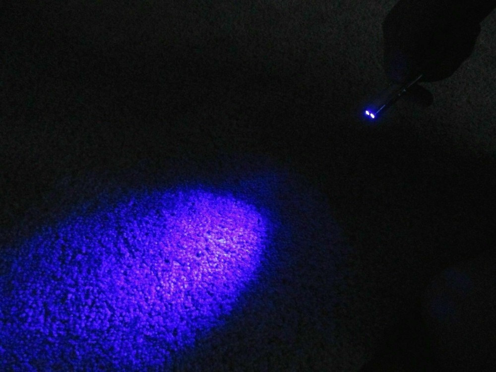 3 in 1 LIGHT & LASER Red Pointer Pen Blue LED FlashLight +Storage Case Free Ship