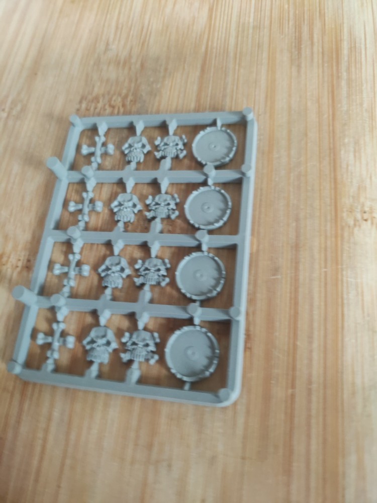 Warhammer Fantasy Vampire Counts bits Undead Skeleton Warrior Shield Sprue
