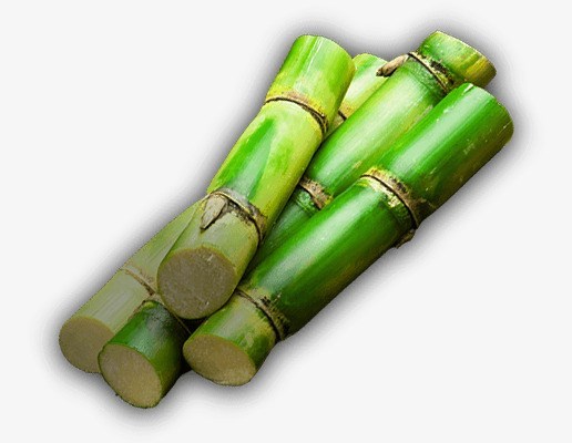 Fresh Sugarcane (5 lbs) Sugar Cane