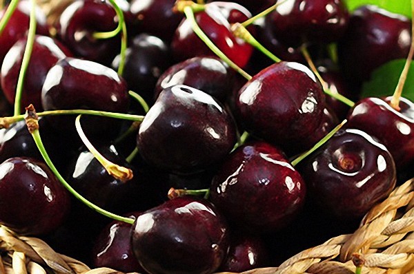 4 oz Candle Scent Oil-BLACK CHERRY