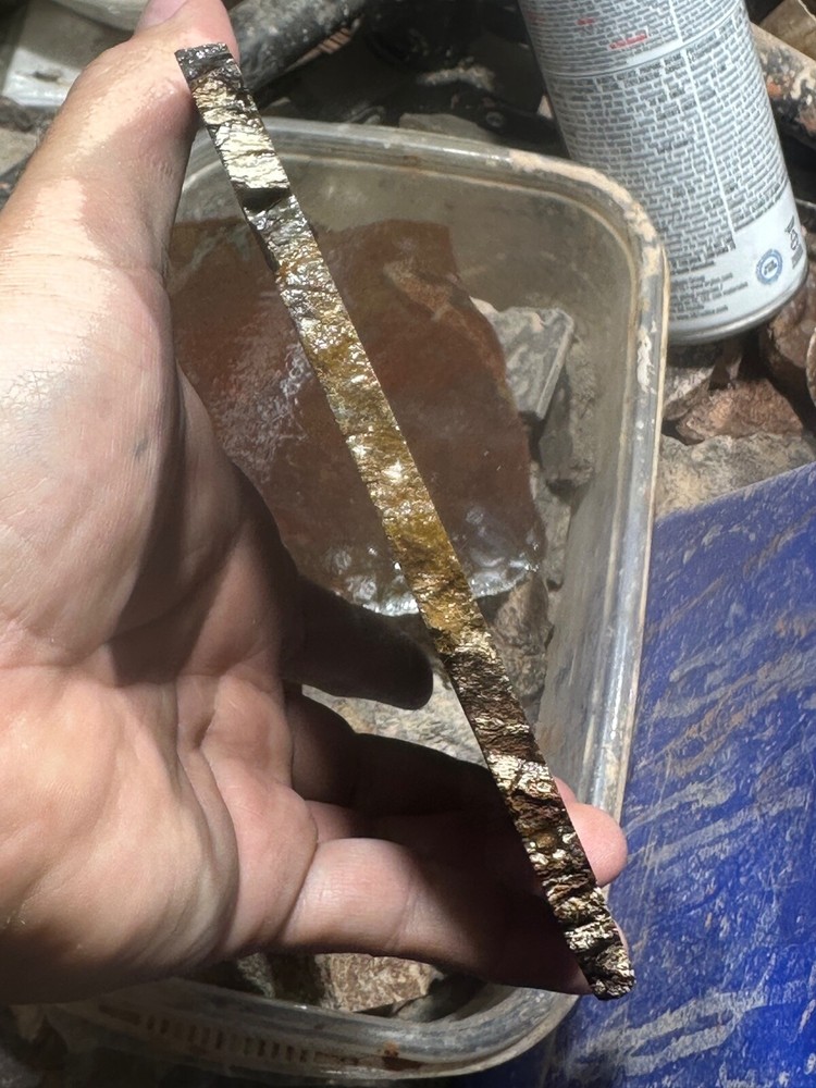 Dinosaur gem bone rough **hxtled large slab.