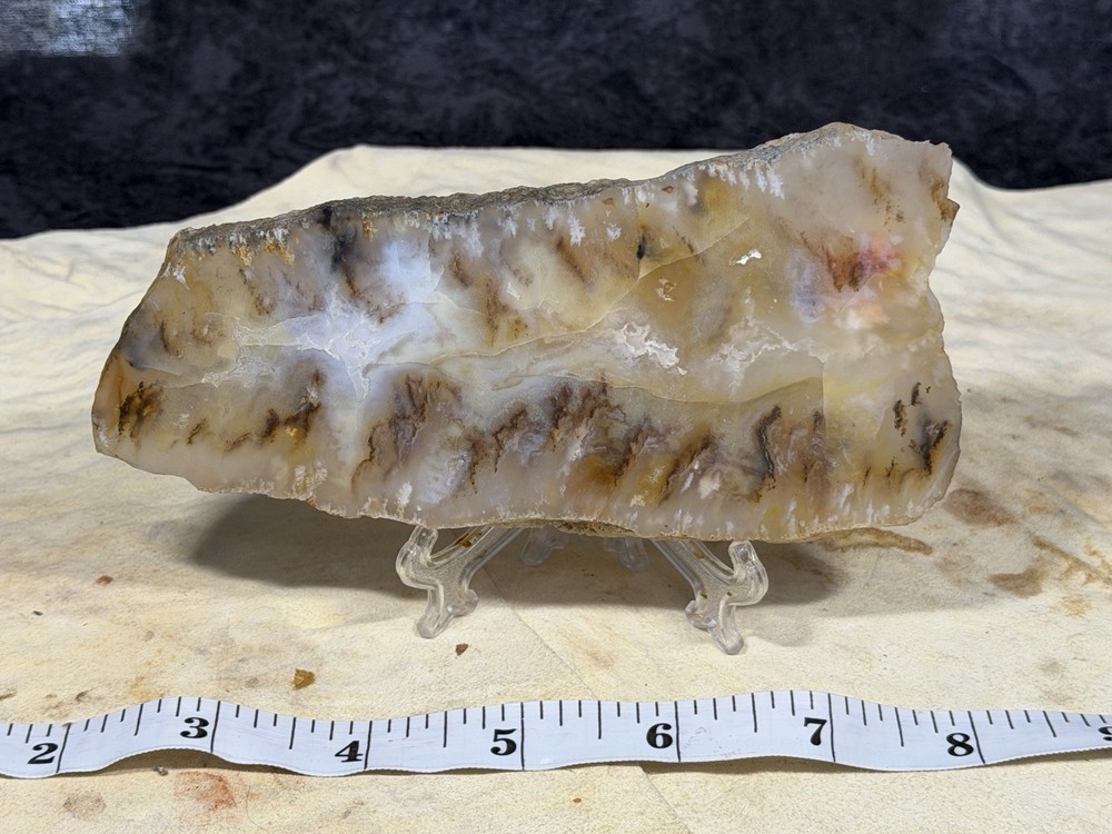 Graveyard Point Plume Agate Slab, Lot #297
