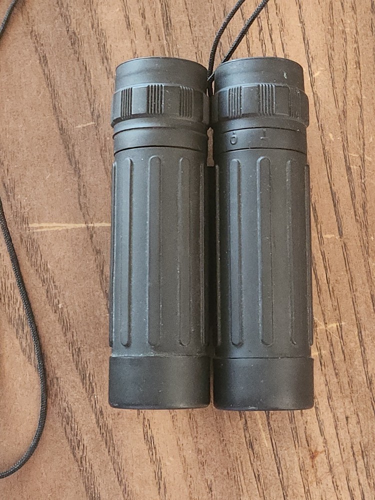 Tasco 12x25 Binoculars #178RB Adjustable Black