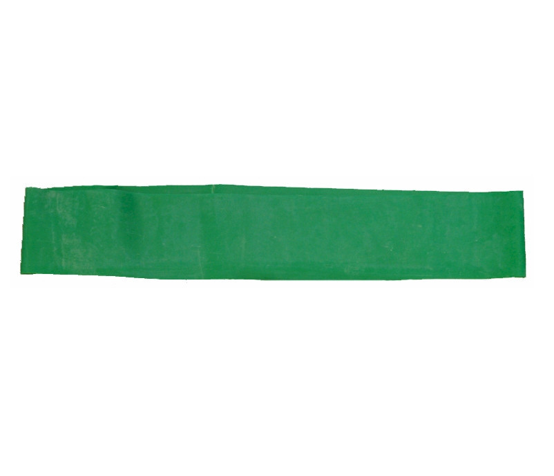 Workoutz 10 Pack Ankle Resistance Bands (Medium - Green) Exercise Butt Fit Loop