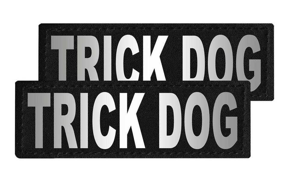 Removable Patches (2 Per Pack)- 2 x 6" TRICK DOG