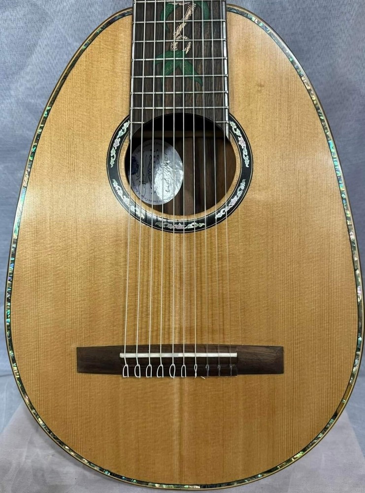 Blueberry Handmade Ten String Classical Nylon String Guitar Built to Order