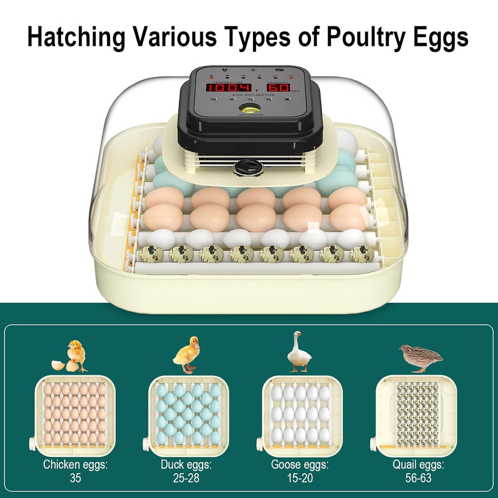 35 Egg Incubator with Automatic Egg Turning and Humidity Control, Incubator for