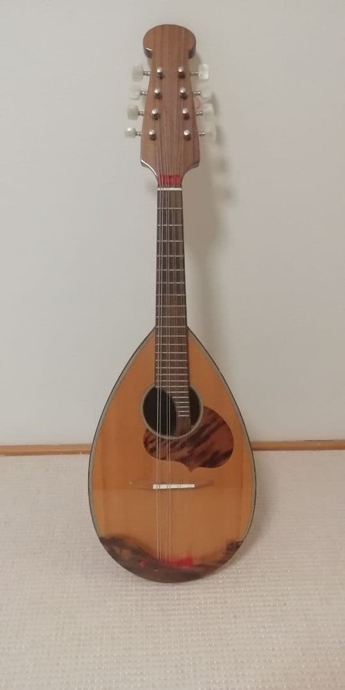 Calace Calace Mandolin Mandolin [No.24]