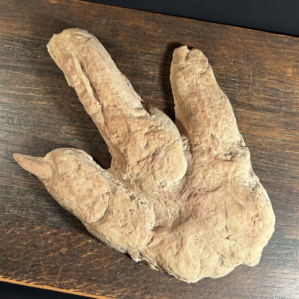 Vintage Dinosaur Footprint Plaster Cast Mold PRIORITY MAIL