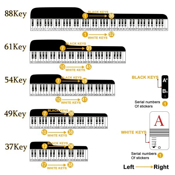 Piano Stickers Keyboard Key Note: Removable Note Multicolour