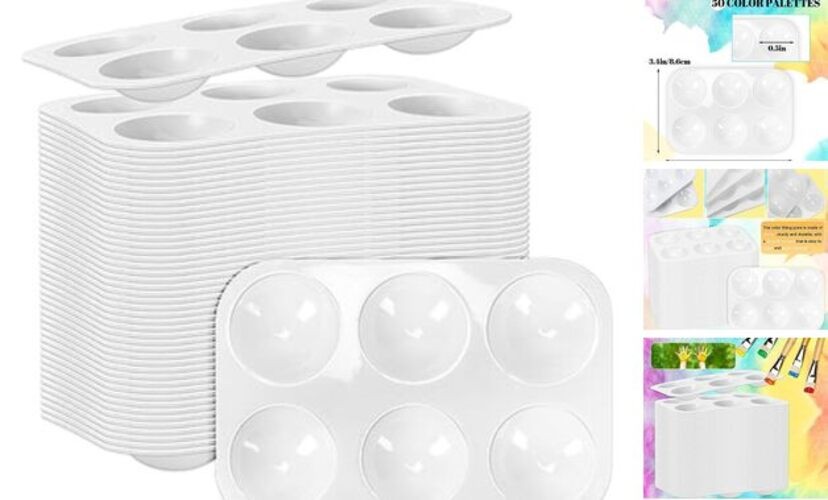 50 PCS White Plastic Watercolor Palette, 6 Well Rectangular Paint rectangle50